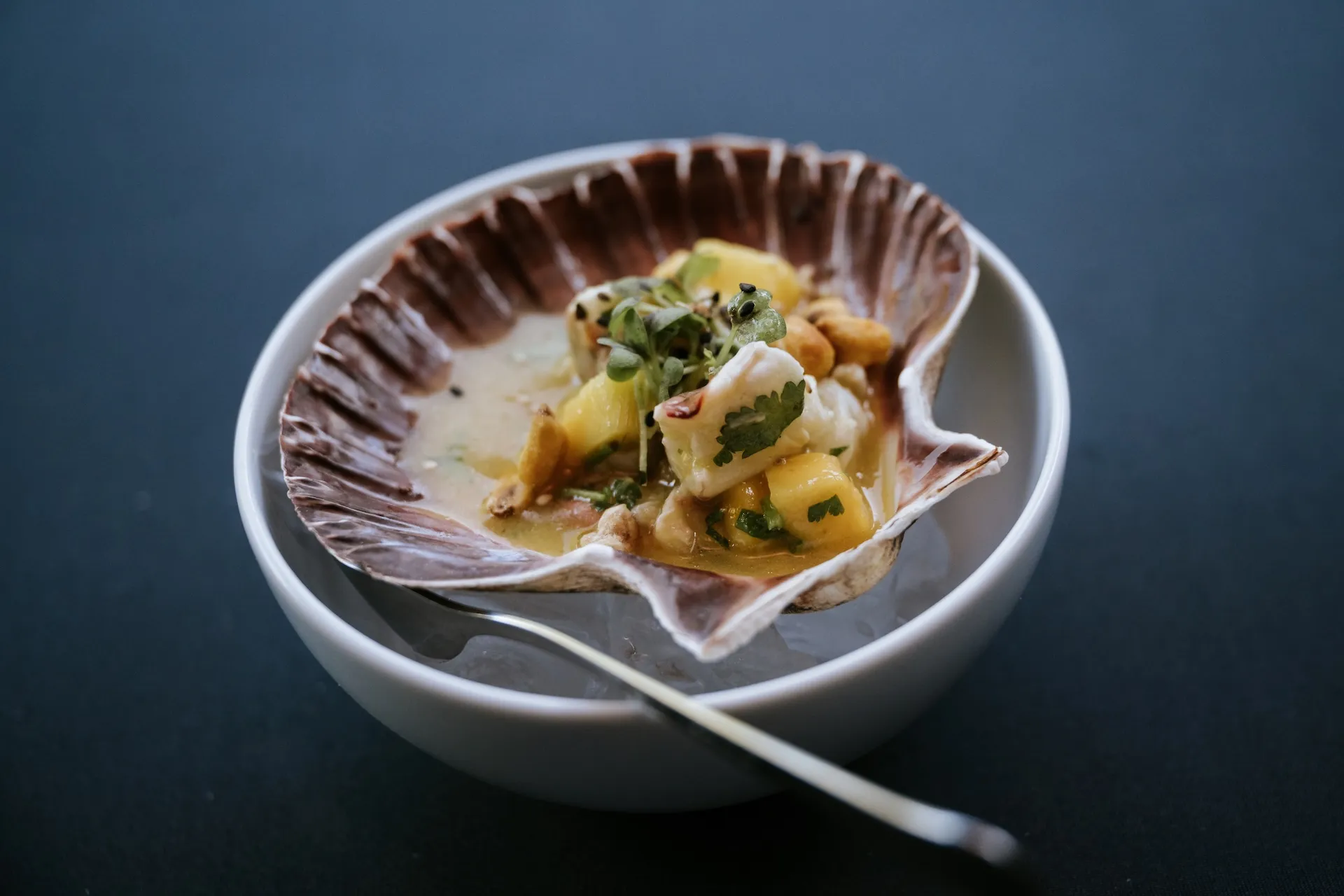 Fein angerichtete Jakobsmuschel auf Eis – stilvolle Foodfotografie mit Fokus auf Frische.